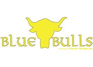Blue Bulls_Logo